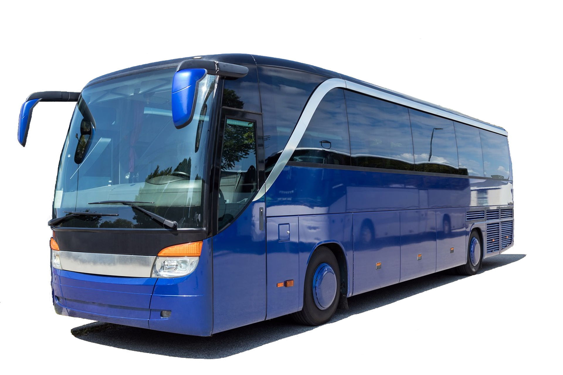 coach-3206326