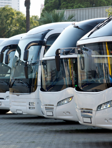 Bus-Transfer-from-Cairns-to-Port-Douglas2-1024x1024