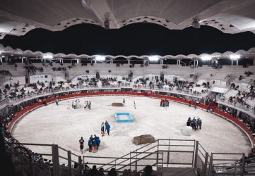 Transport de groupe en autocar pour les événements sportifs depuis Paris